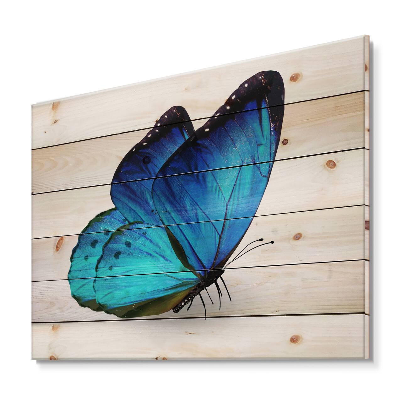 Designart - Vibrant Blue Butterfly - Modern Print on Natural Pine Wood